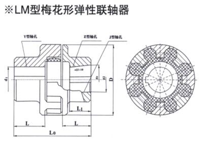 LM型梅花形弹性羞羞视频在线观看入口